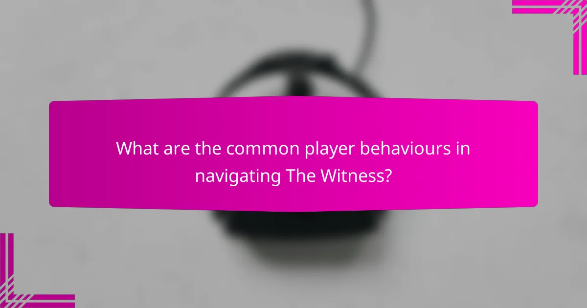 What are the common player behaviours in navigating The Witness?