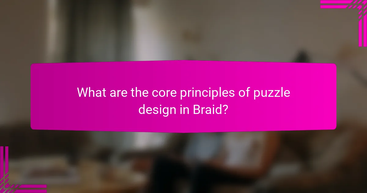 What are the core principles of puzzle design in Braid?